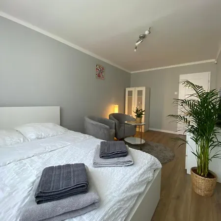 Garsoniera Centrum Apartment *