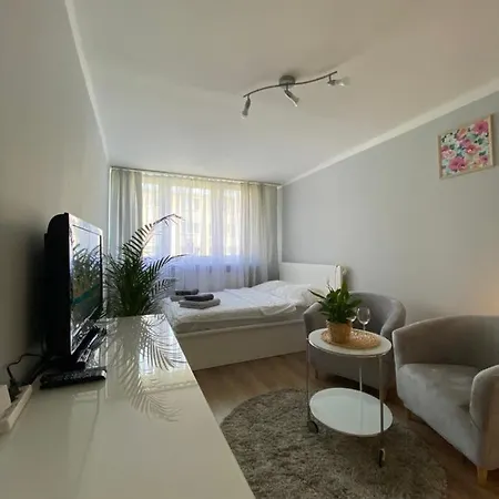 Garsoniera Centrum Apartment Krakow