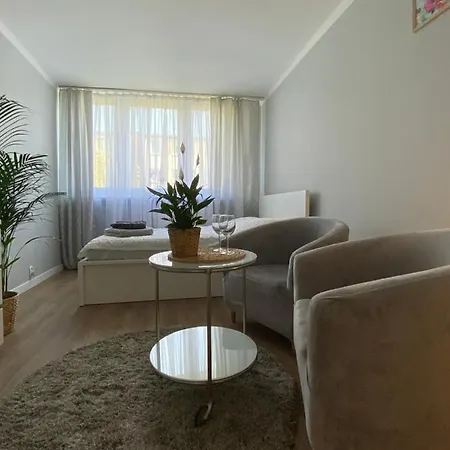 Garsoniera Centrum Apartment *